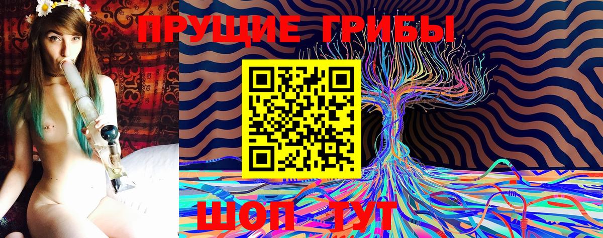 где купить   Вход с VPN  Галлюциногенные грибы мухоморы  Выборг  Галлюциногенные грибы мицелий 
